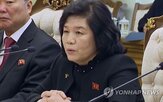 러시아,방문