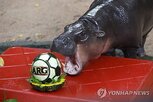 월드컵,트럼프,하마,태국,동물원,미국