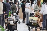 수출,펫푸드,시장,반려동물,제품,캐나다,확대,지원,정부,올해