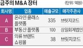 플랫폼,매출,지난해,핵심,매각