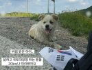 공주,아이,가족