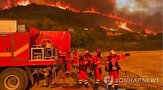 산불,스페인,면적,유럽,남부,발생