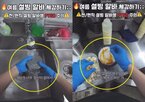 관리,장갑,위생,영상,해당,매장