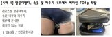 적발,여행자,상반기,마약밀수,마약,밀수,올해,대한,경로
