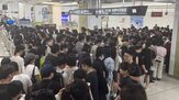 선전,일부,승객,지역,당국,단속,금지,전기자전거