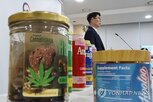 제품,식품,성분,마약류,해외직구,대마