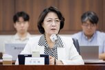 접경지,평화경제특구,지사,제안,활용