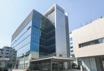 매출,동기,전년,대비