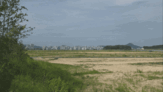 기업,도청,경북,도시,도청신도시,인구,상황,신도시,통합,개발