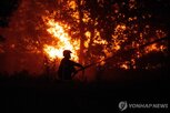 시설,산불,공장,프랑스,인근,생산,폐쇄,방산
