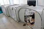 지진,열사병,발생,가동,중단,구마모토현,사망자,공장,이날
