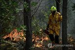 와인,산불,연기,보르도,피해,발생