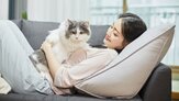 시장,달러,기업,간식,펫푸드,연평균,기능성,고양이,수출