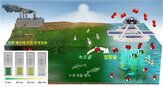 녹조,연구팀,과산화수소,기술,개발,책임연구원,촉매
