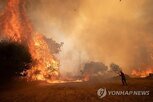폭염,엘니뇨,기온,지역,기후변화,현상,지난달,일부,산불,세계