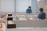 인구,올해,증가,유소년,합계출산율,최근