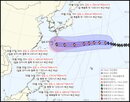 태풍,한반도,돌핀,해상