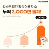 올해,연합뉴스