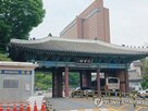 매출,안정,시내점,적자,영업이익,호텔신라