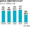 경찰,보완수사,요구,검사,개정,수사,인력,제도,형사소송법
