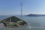 구축,전력망,한전,국민성장펀드,배전망