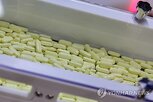 허가,해외,국내,품목,기간,심사,의약품