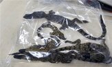 야생생물,검찰,혐의,확인,멸종위기종,거래