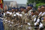 벨기에,프로그램,복무,자발적,선발