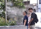 최고,폭염,슬로바키아,오스트리아,기록
