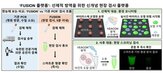 바이러스,연구팀,곳곳