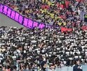 행사,경찰,개최,중국