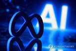 모델,해킹,보안,메타,사고,인터넷