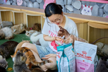 고양이,기부,사료,세계,할인,반려묘,참여,프로모션,펫푸드,진행