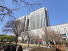 민생사건,평균,운영,전국,법원행정처