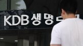 생명,매각,입찰,인수,산은,흥국생명,후보,삼성생명,참여