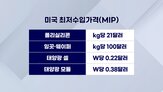 미국,폴리실리콘,관세,태양광,모듈,기자,이번,가격