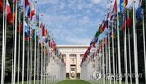 국제기구,일본인,일본,직원,자민당,수장