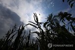 가격,상승,하락,전쟁,가격지수,세계,기록,공급,수요,우려