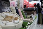 할인,행사,반려묘,고양이,사료,기부,펫푸드,캠페인,제품