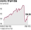 달러,개입,환율,엔화,시장