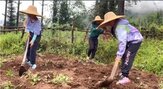 중국,캠프,아이,핸드폰,습관,고생