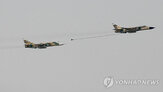 이란,카타르,조종사,주장,유해