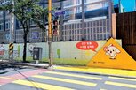캠코,활동,지원,안전,위험,옐로카펫,화재,심폐소생술