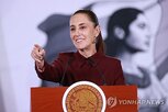 관세,멕시코,미국,추가,중국,중국산