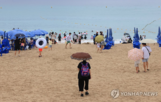 소나기