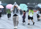 제주,예상,안팎