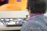 식사,간격,누적,만성질환,그룹,단식