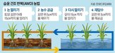 농법,메탄,부족,지역