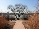 불편,커피,사람,지금,자신,시대,자발적,목사,기도