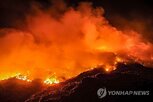 산불,보르네오섬,인도네시아,엘니뇨,위해,현상,헬기,당국
